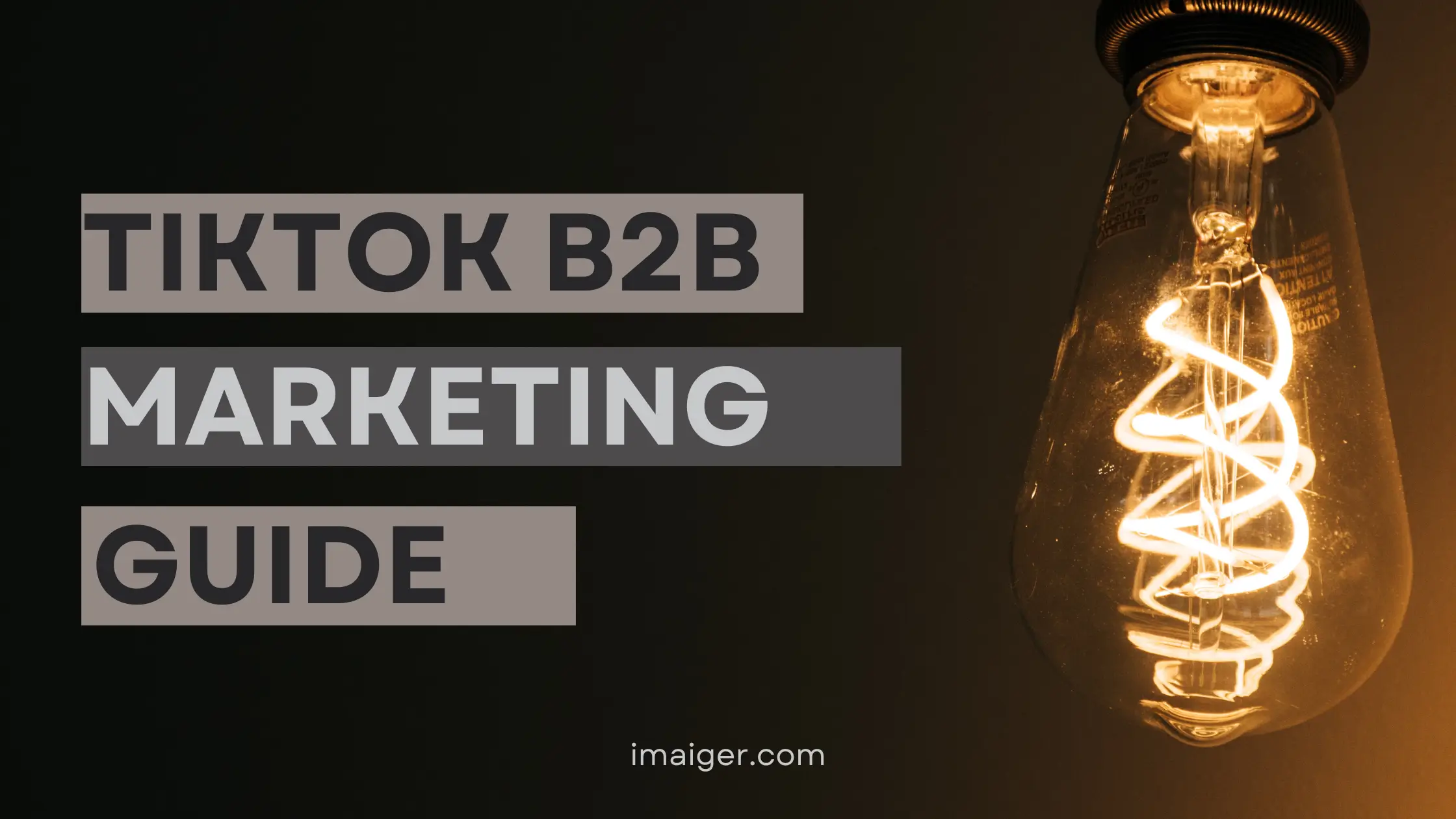 TikTok B2B Marketing for SaaS Businesses - 2026 Guide
