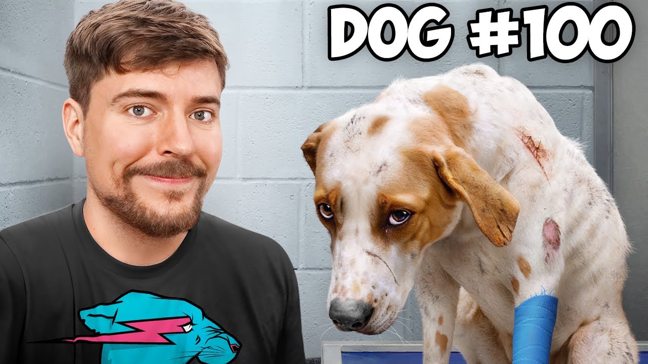 MrBeast thumbnail template
