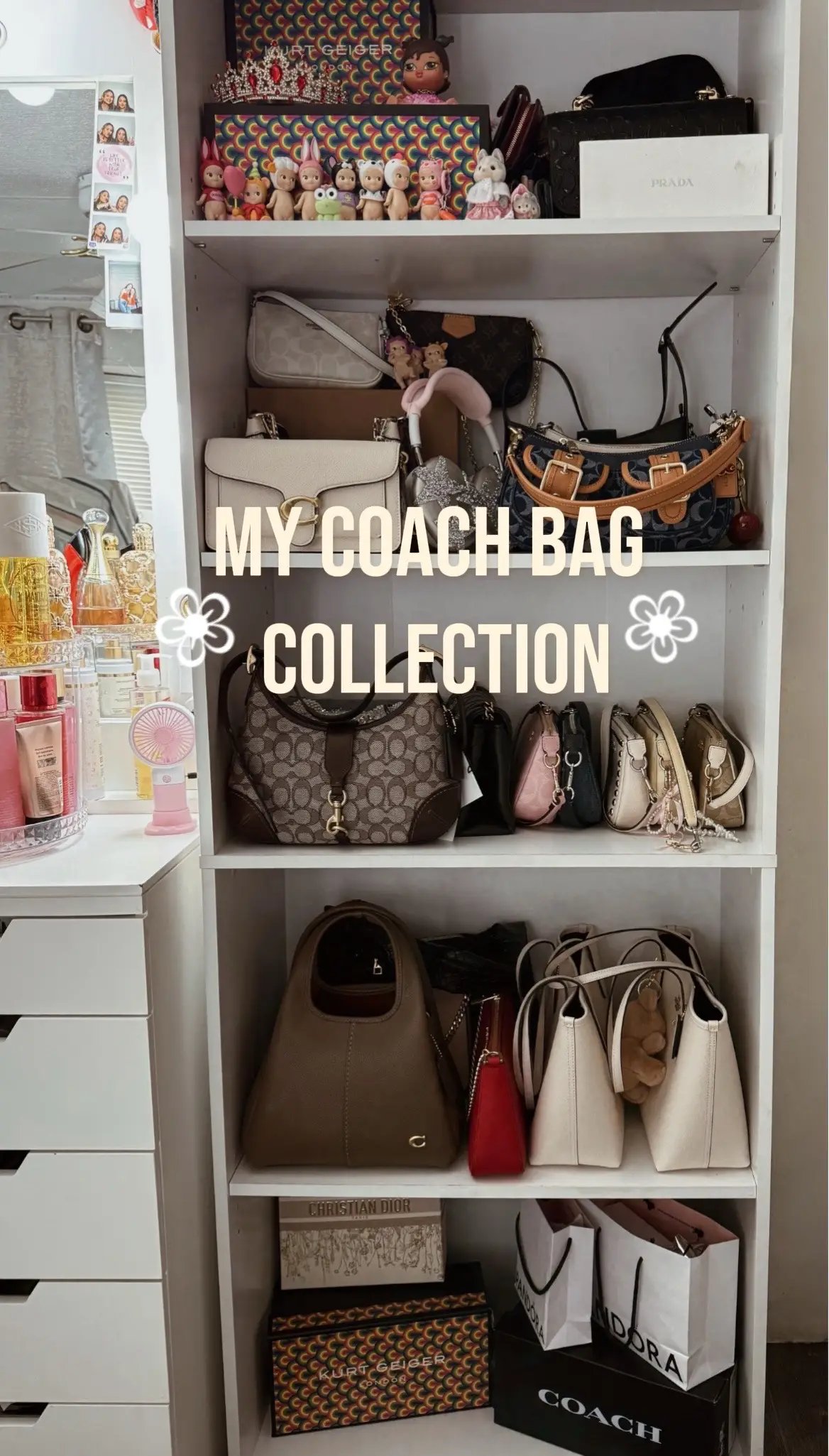 #coachbags #bagscollection #fyp #coach #girlythings #girls #mybagcollection #pursecollection 