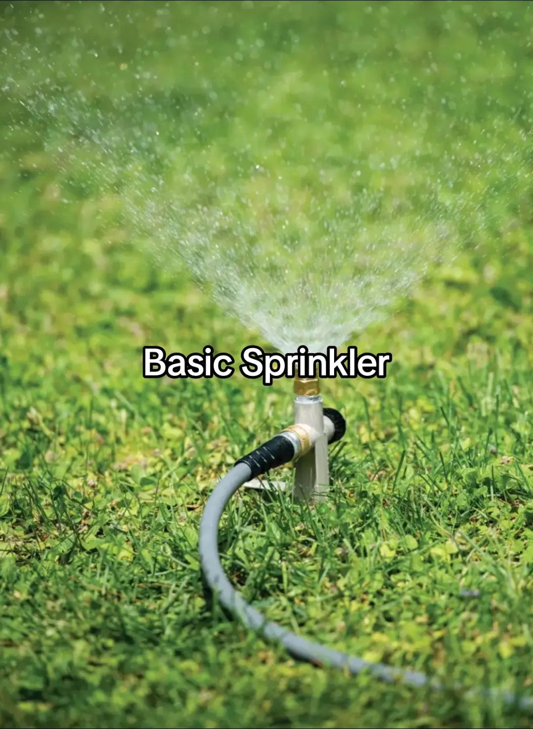 Can’t believe they stole it from grow a garden #growagarden #growagardenrobloxfyp #growagardenroblox #fyp #robloxfyp #foryou #viral 