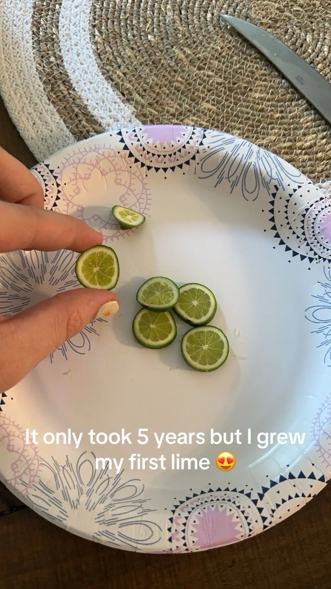 it’s gotta be atleast 6 inches around! 🍋‍🟩🤩 #gardening #selfsufficient #margs #summerharvest #migentecallmewhitina 
