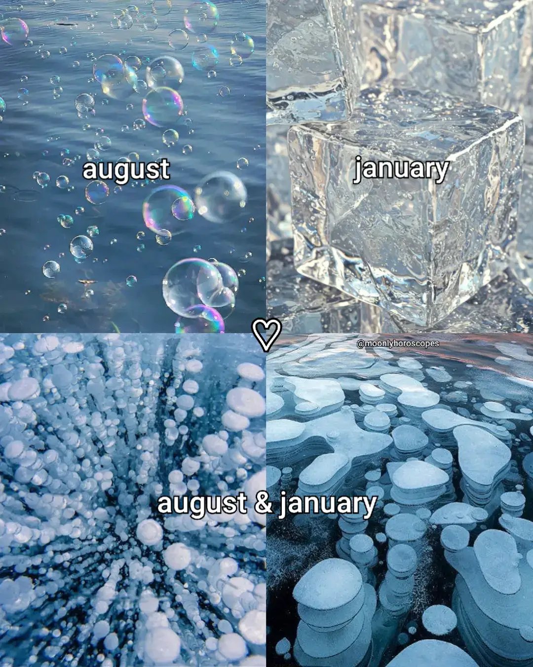 #months #nature #zodiacsigns #zodiactiktok #horoscope #viral #moonlysigns #moonlyhoroscopes #fyp #horoscopememe 