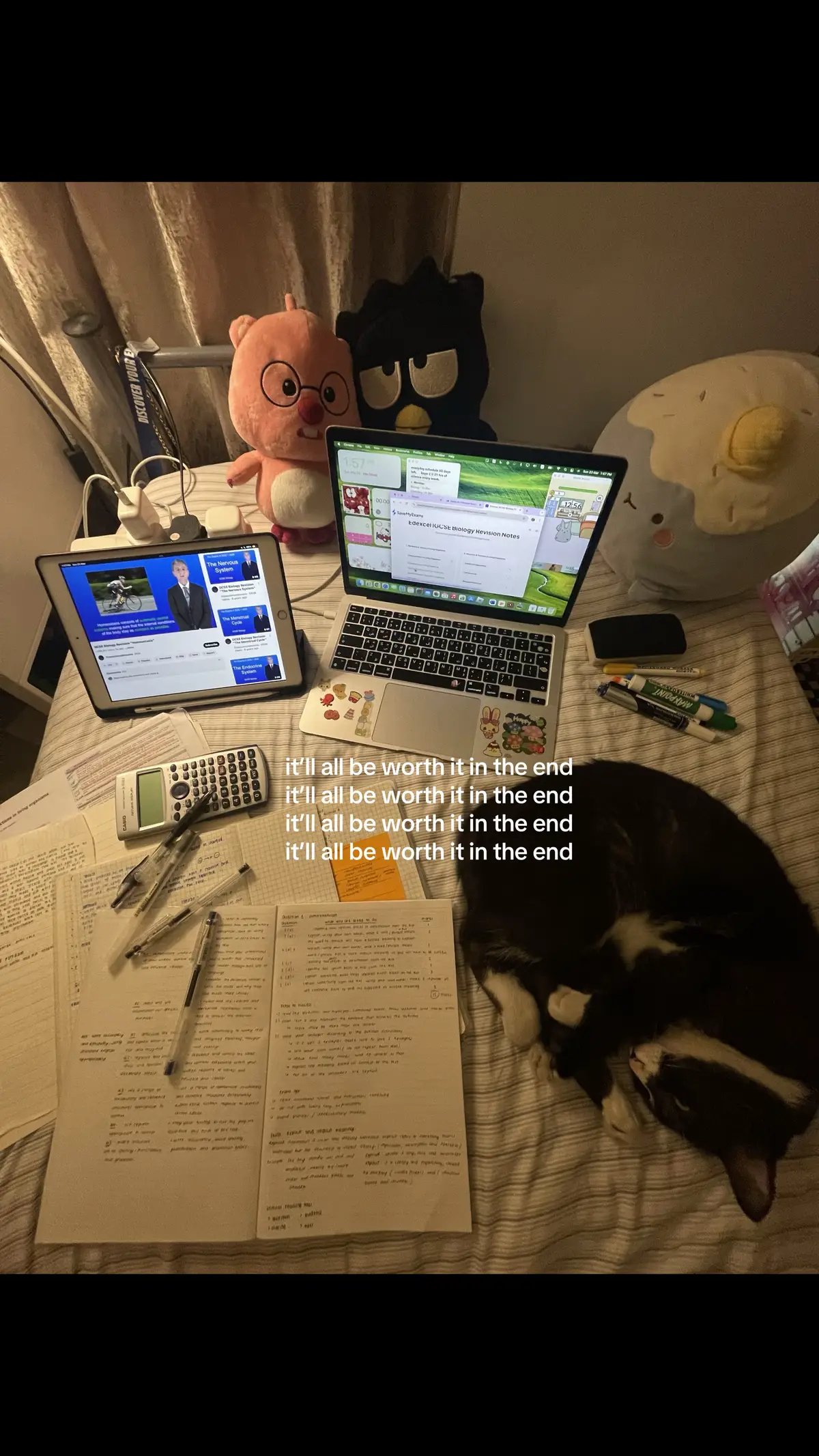#studytok #motivation #studying #igcse #studywithme #notetaking #notes #calm 